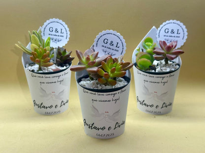 Suculenta com rótulo pronto e tag personalizada