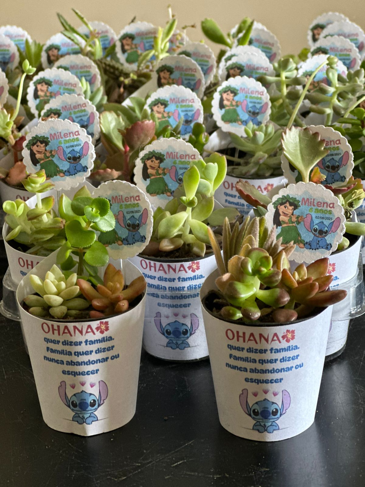 Lote de lembrancinhas de suculenta personalizadas