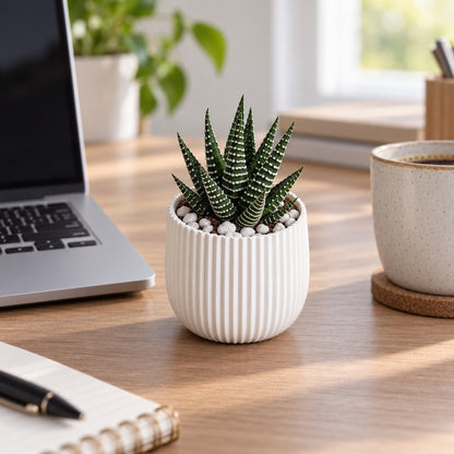 Vaso canelado branco com suculenta na mesa de trabalho, ao lado do notebook