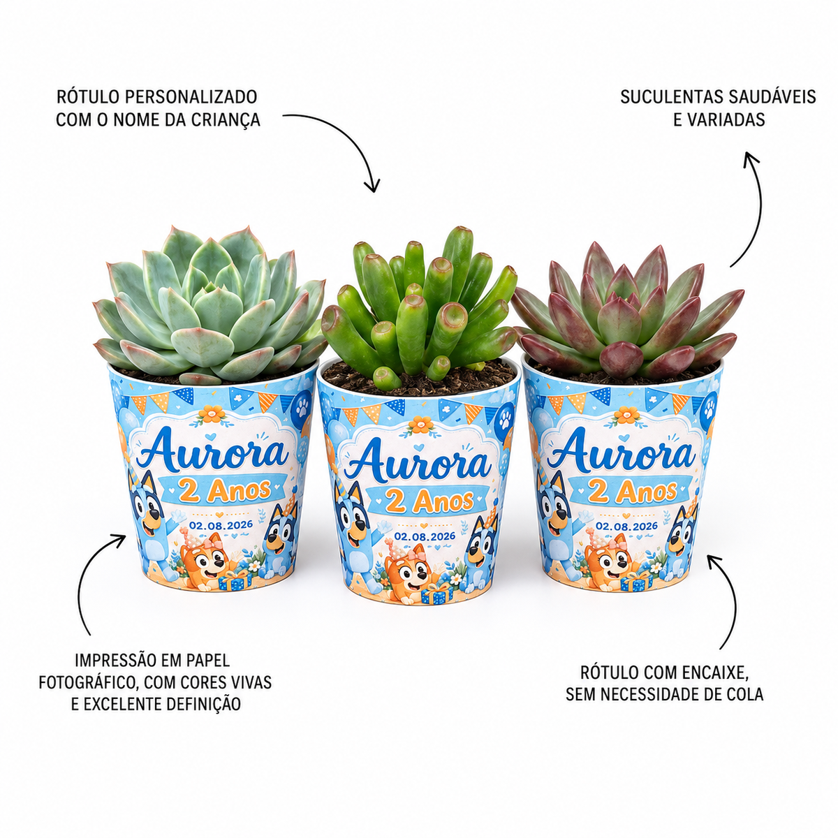 Lembrancinha Desenho | Suculenta + Rótulo Personalizado + Pedrinhas Brancas