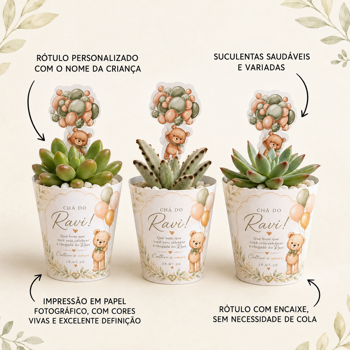 Lembrancinha Chá de Bebê Masculino | Suculenta + Rótulo Personalizado + Tag Ursinho + Pedrinhas Brancas