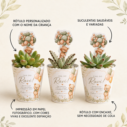 Lembrancinha Chá de Bebê Masculino | Suculenta + Rótulo Personalizado + Tag Ursinho + Pedrinhas Brancas