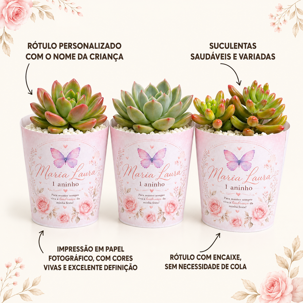 Lembrancinha Jardim das Borboletas | Suculenta + Rótulo Personalizado + Pedrinhas
