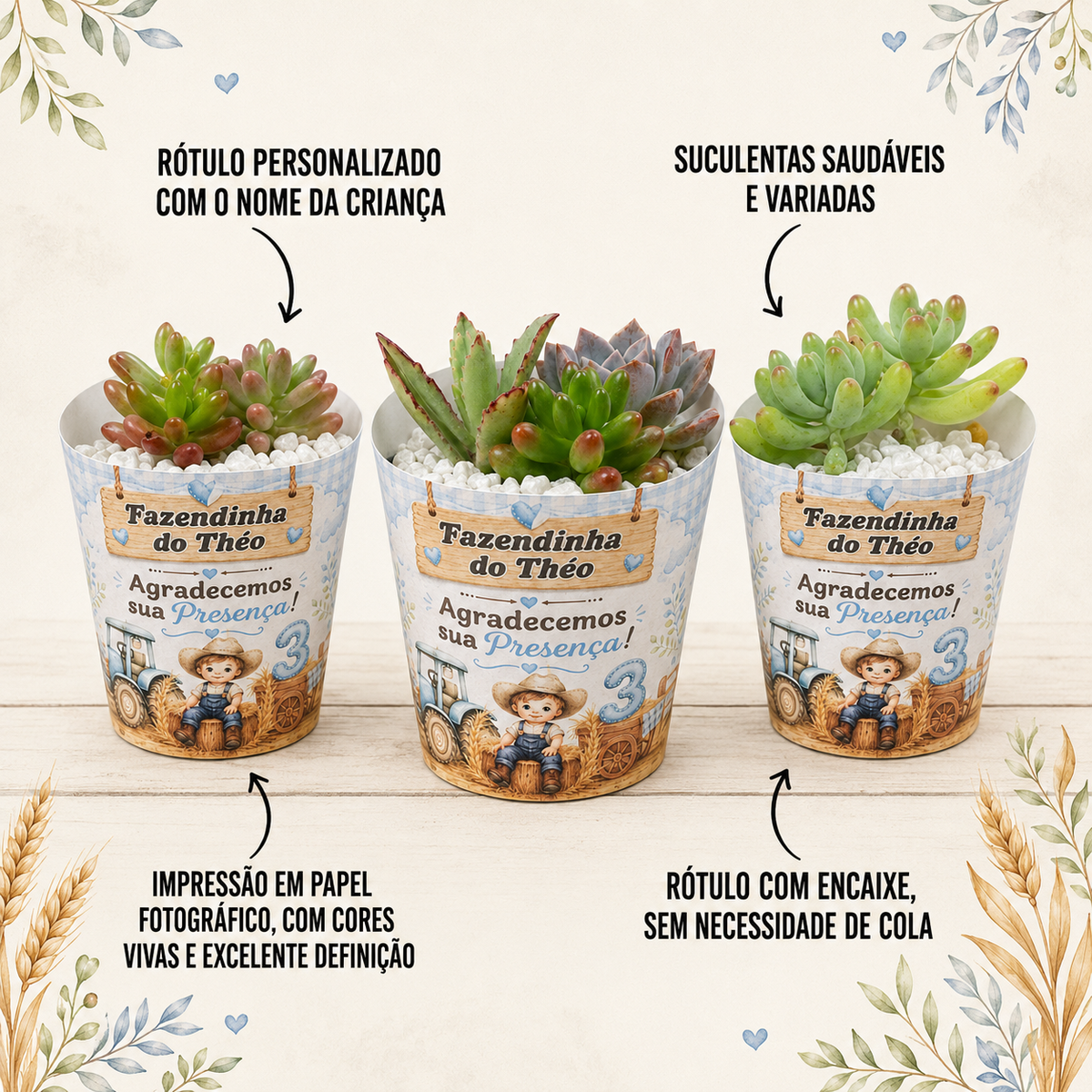 Lembrancinha Fazendinha | Suculenta + Rótulo Personalizado + Pedrinhas Brancas