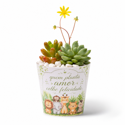 Lembrancinha Safari | Suculenta + Rótulo Personalizado + Pedrinhas Brancas