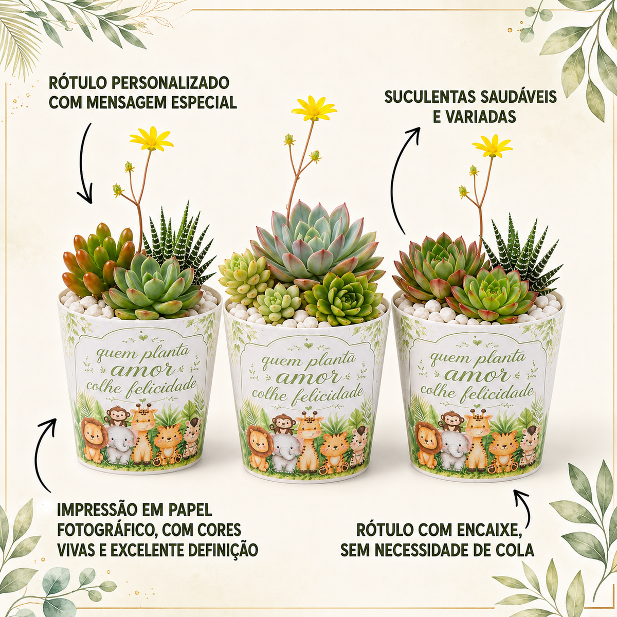 Lembrancinha Safari | Suculenta + Rótulo Personalizado + Pedrinhas Brancas