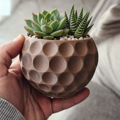 Vaso bola de golfe marrom com suculentas, na mão