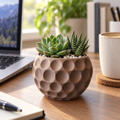 Vaso bola de golfe marrom com suculentas na mesa de trabalho, ao lado do notebook