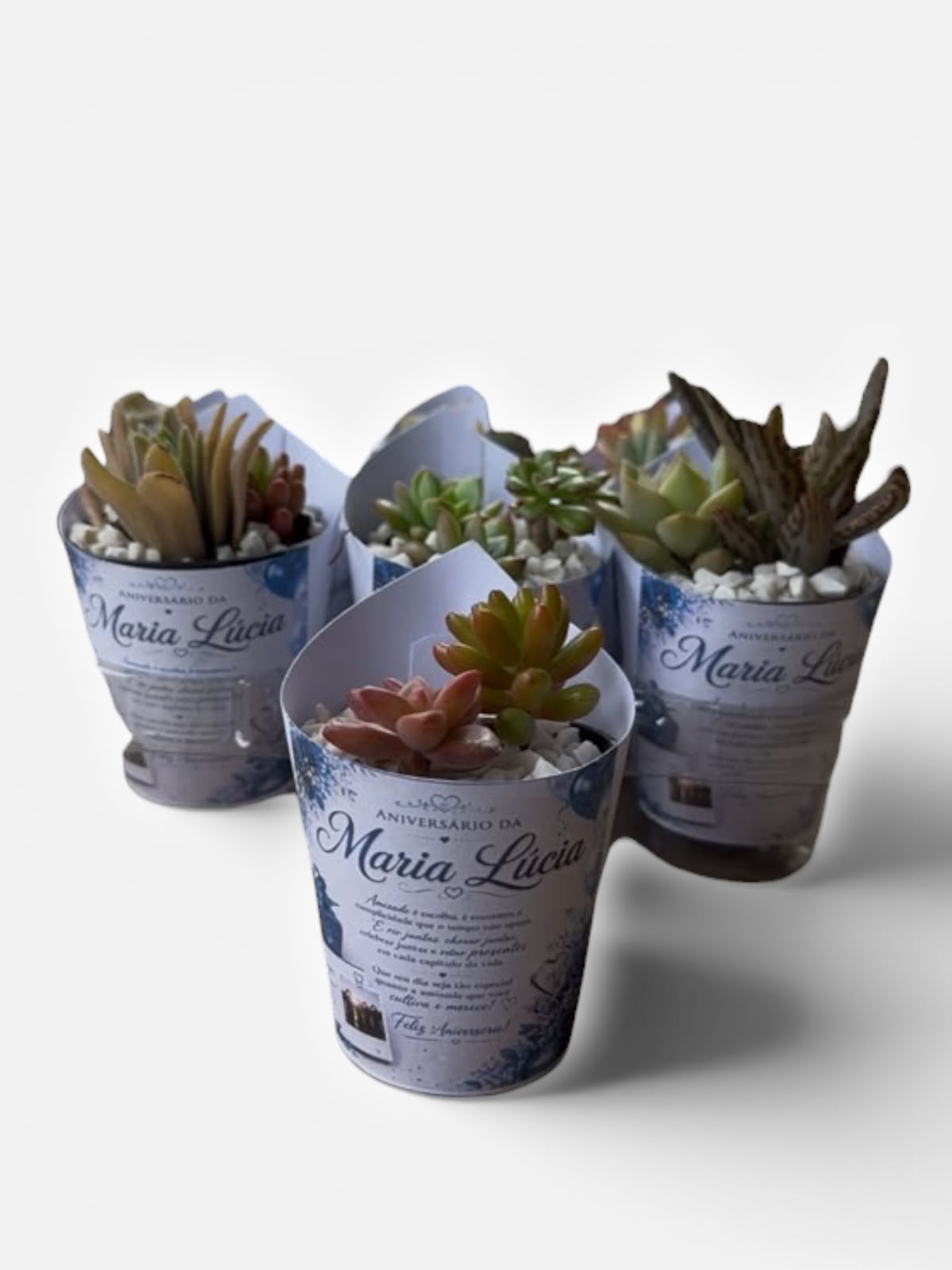 Lembrancinha de suculenta com rótulo personalizado do evento e pedrinhas brancas