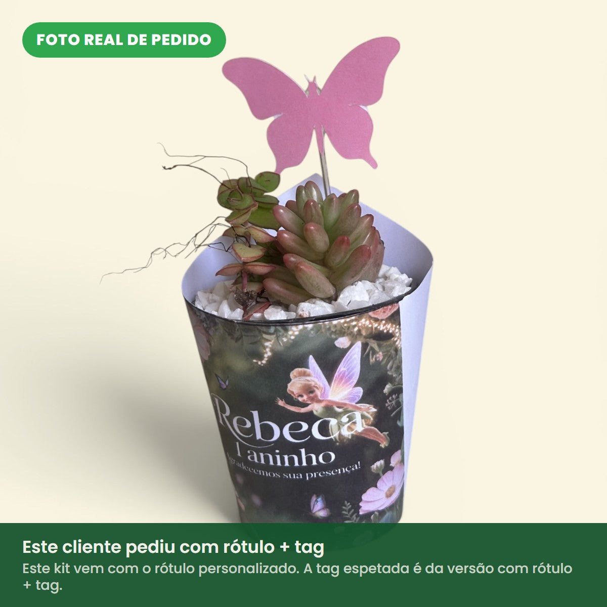 Foto real de pedido de lembrancinha de suculenta com rótulo personalizado de fada e borboletas. Este cliente pediu com tag; este kit vem com o rótulo