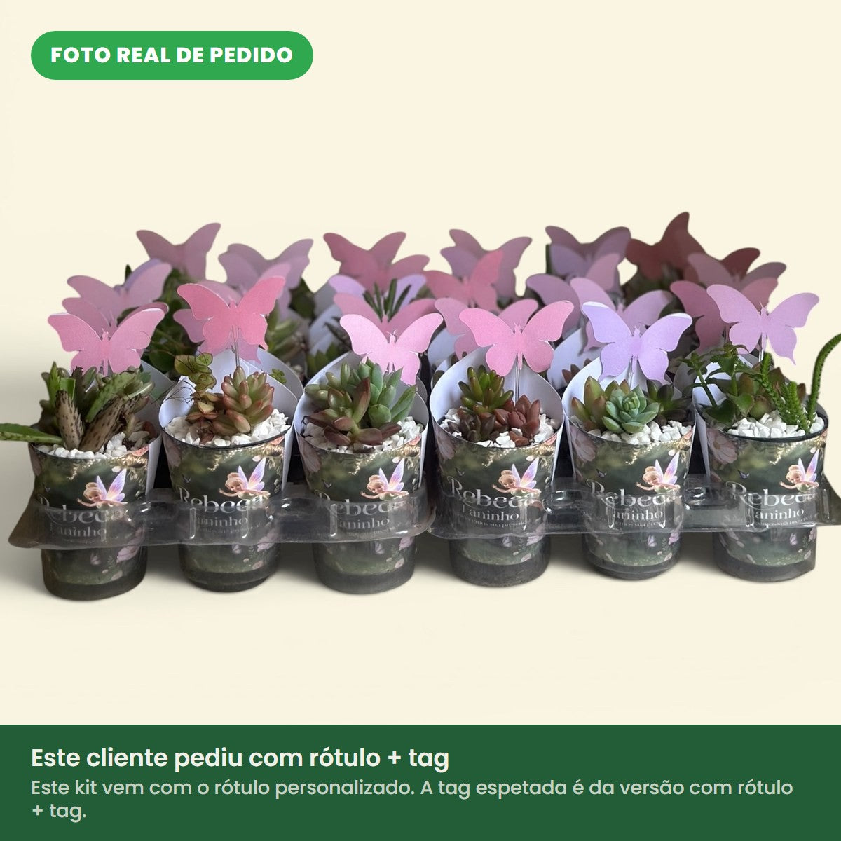 Foto real de pedido: kit de lembrancinhas de suculenta no tema borboletas. Este cliente pediu com tag; este kit vem com o rótulo