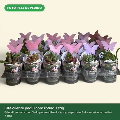 Foto real de pedido: kit de lembrancinhas de suculenta no tema borboletas. Este cliente pediu com tag; este kit vem com o rótulo