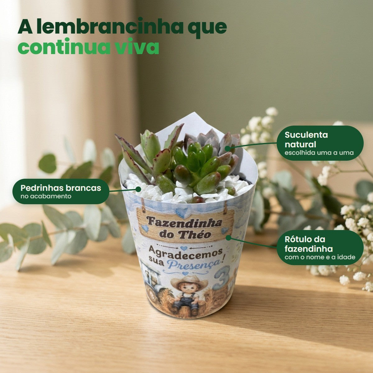 O que vem em cada peça: suculenta natural, pedrinhas brancas no acabamento e rótulo da fazendinha com o nome e a idade