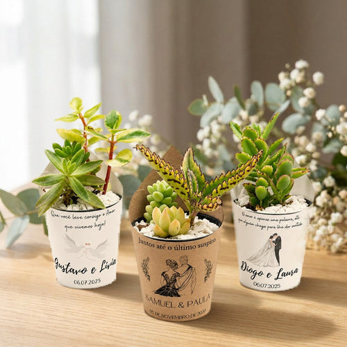 Lembrancinhas de suculenta com rótulo personalizado e pedrinhas brancas sobre mesa de madeira