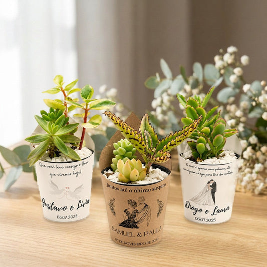 Lembrancinhas de suculenta com rótulo personalizado e pedrinhas brancas sobre mesa de madeira