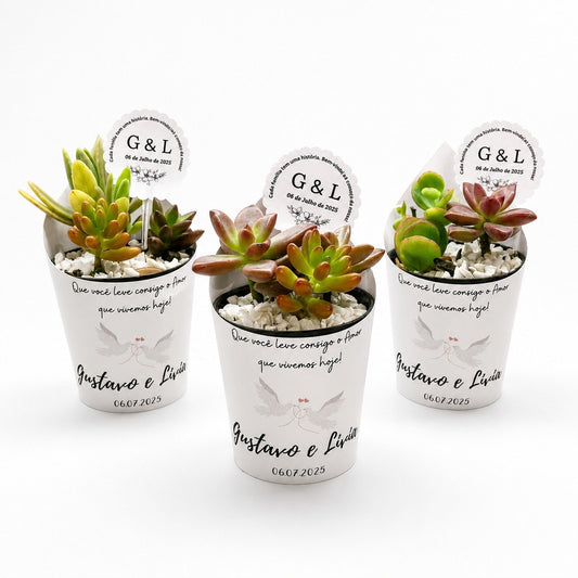 Lembrancinha de suculenta com rótulo personalizado, tag personalizada e pedrinhas brancas