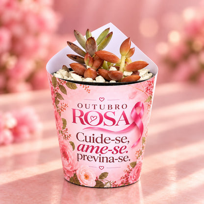 Suculenta com rótulo Outubro Rosa Cuide-se, ame-se, previna-se e pedrinhas brancas