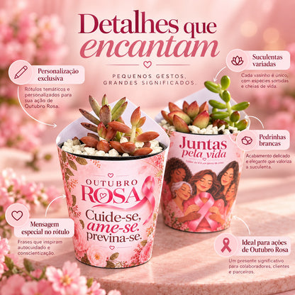 Detalhes da lembrancinha Outubro Rosa: rótulo personalizado, suculentas variadas e pedrinhas brancas