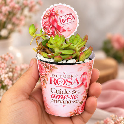 Lembrancinha Outubro Rosa: suculenta com rótulo e tag personalizados e pedrinhas brancas, na mão