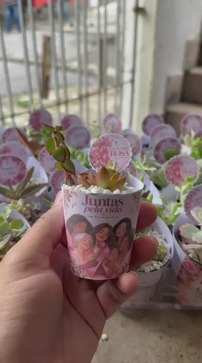 Vídeo de um pedido real de lembrancinhas Outubro Rosa
